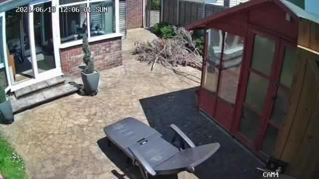 Comfort House Havant Extérieur photo